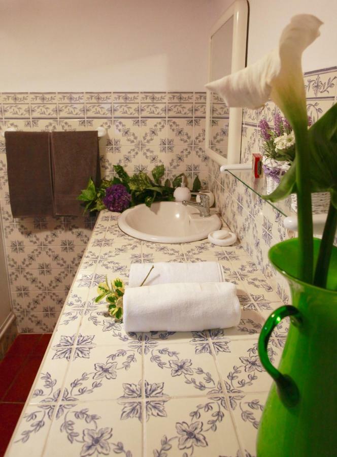 ノルデスチ Casa Da Roseiraヴィラ エクステリア 写真