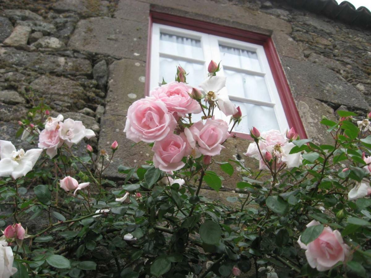 ノルデスチ Casa Da Roseiraヴィラ エクステリア 写真